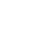 All Clear Pest Control Solutions